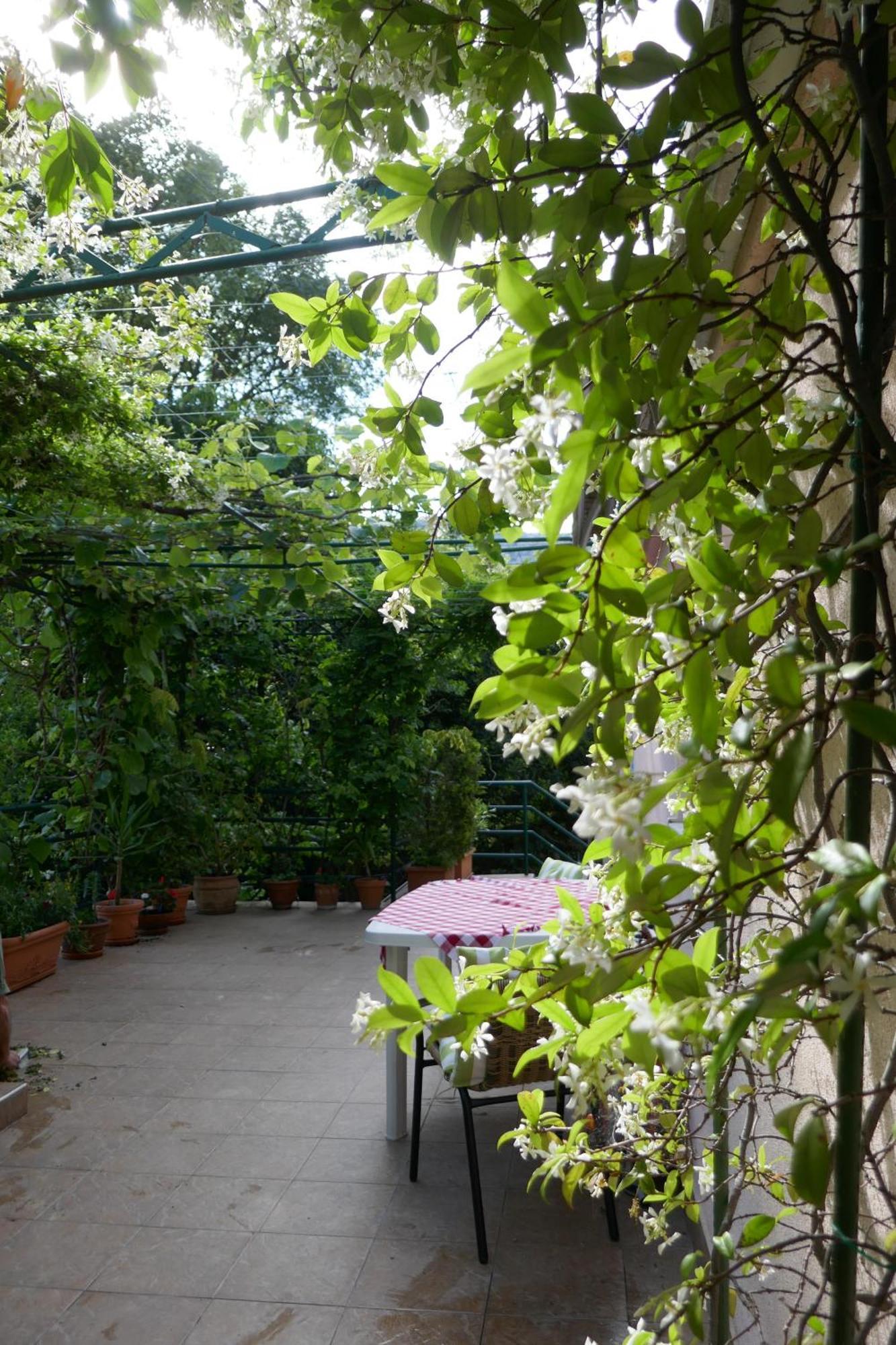 Ecohouse Risan Studio Exterior photo