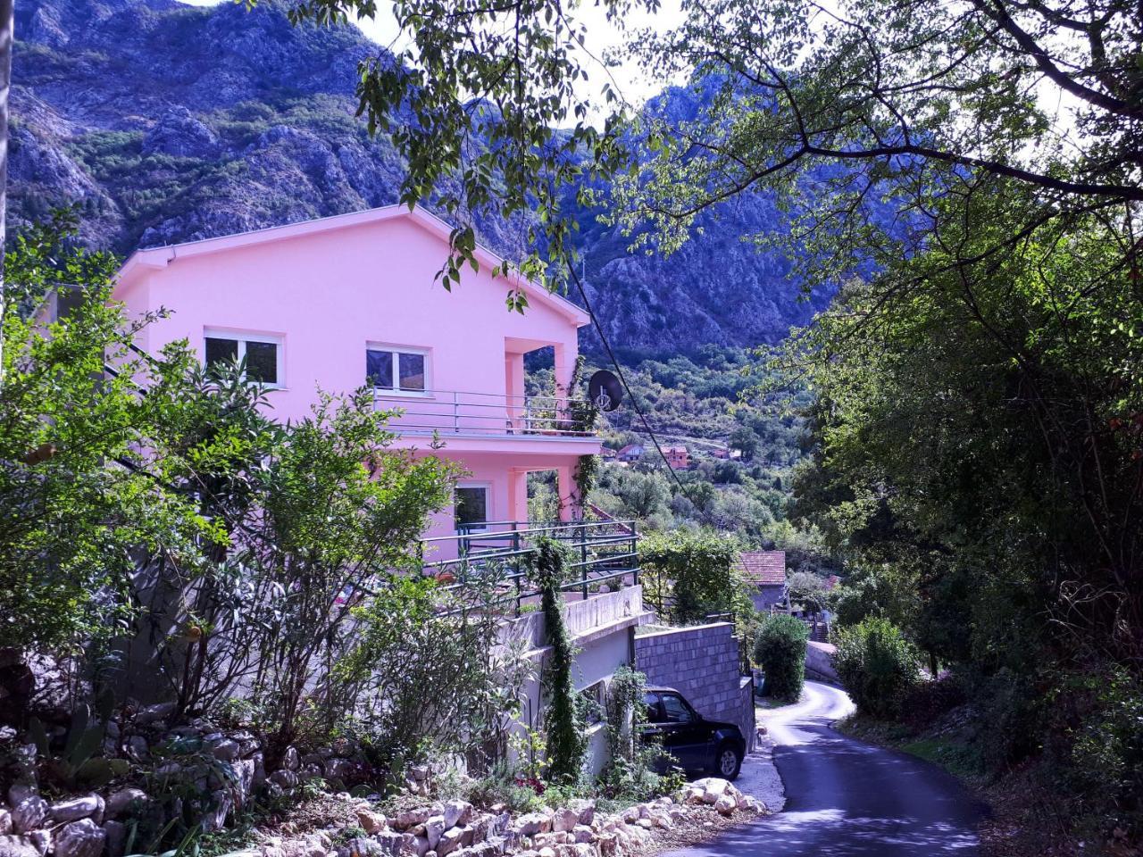 Ecohouse Risan Studio Exterior photo
